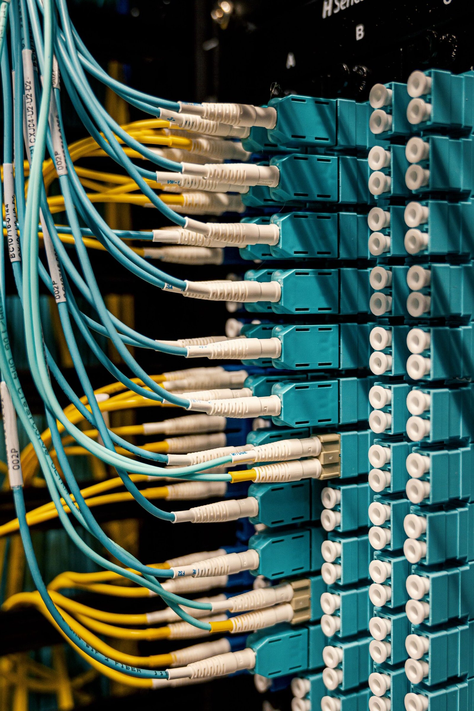 Similar colorful rubber cables with connectors in fiber optical switch sockets in sunlight